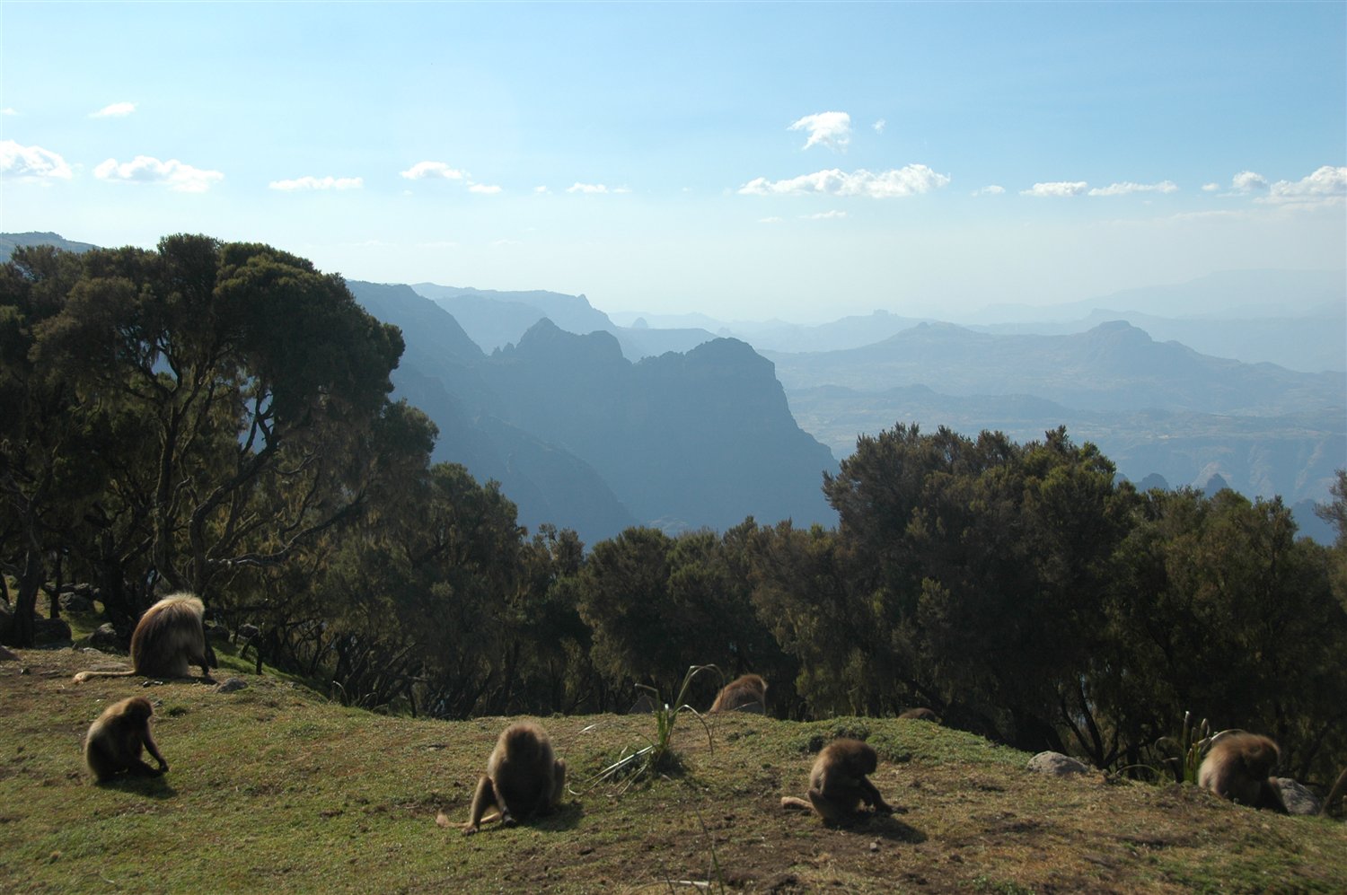 Etiopia - unikalny widok